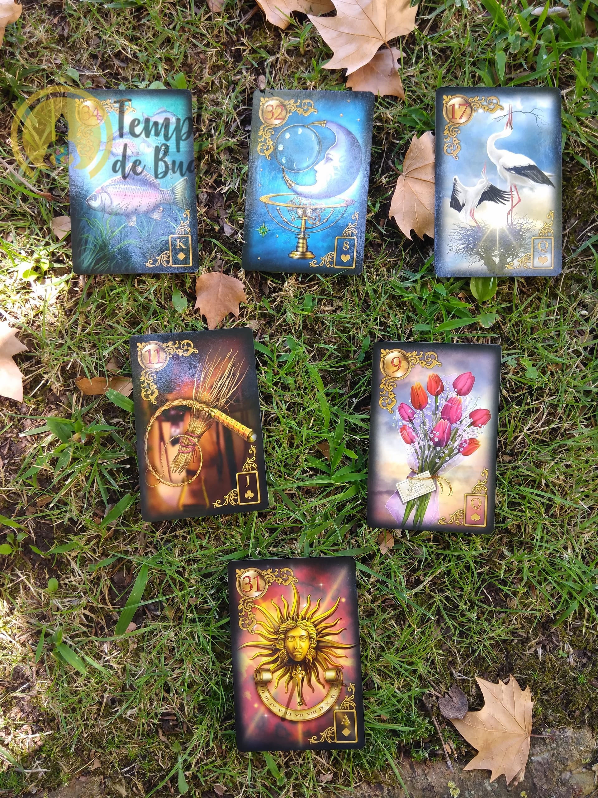 Lenormand Gilded Reverie de Ciro Marchetti