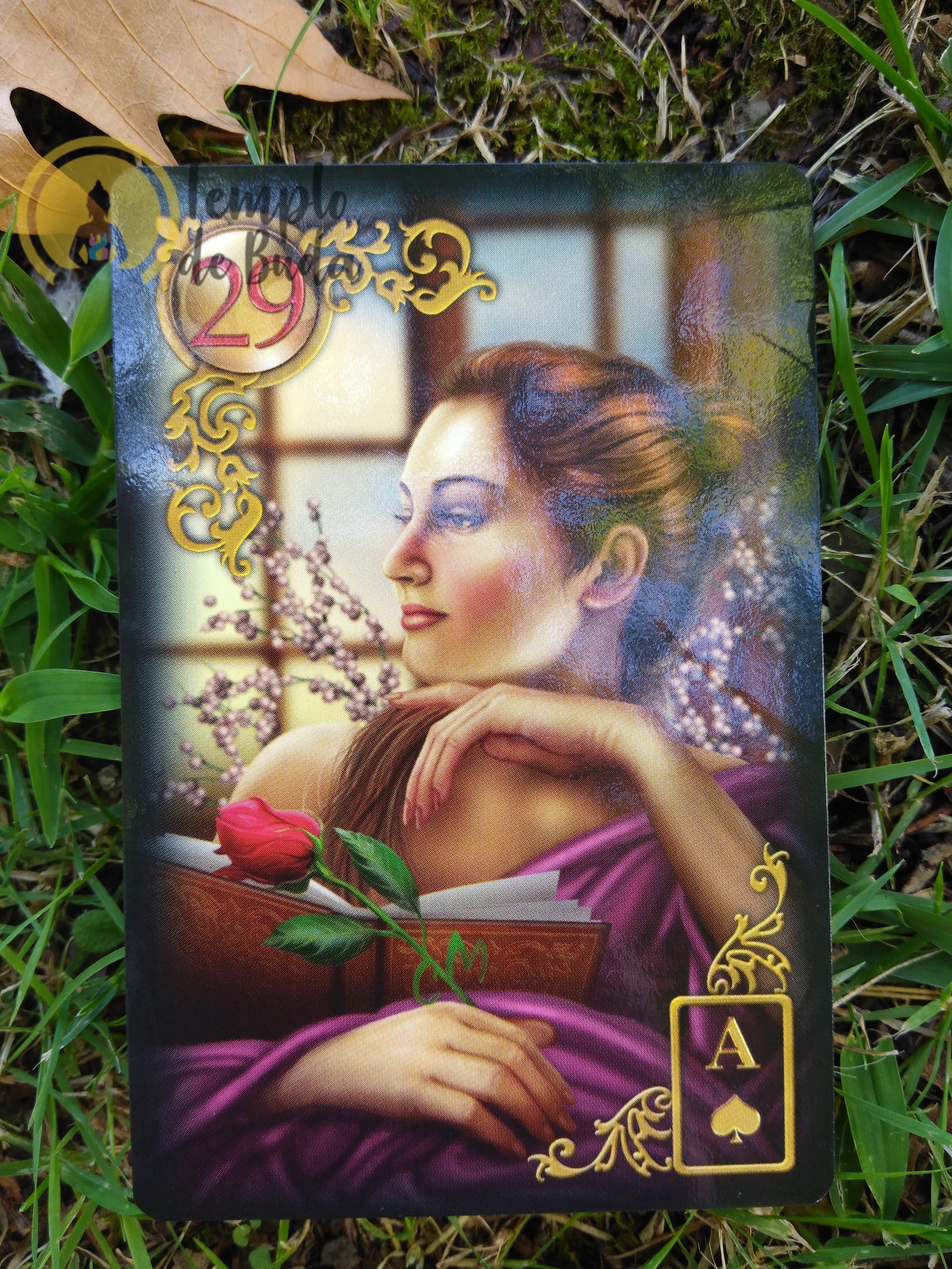 Lenormand Gilded Reverie de Ciro Marchetti