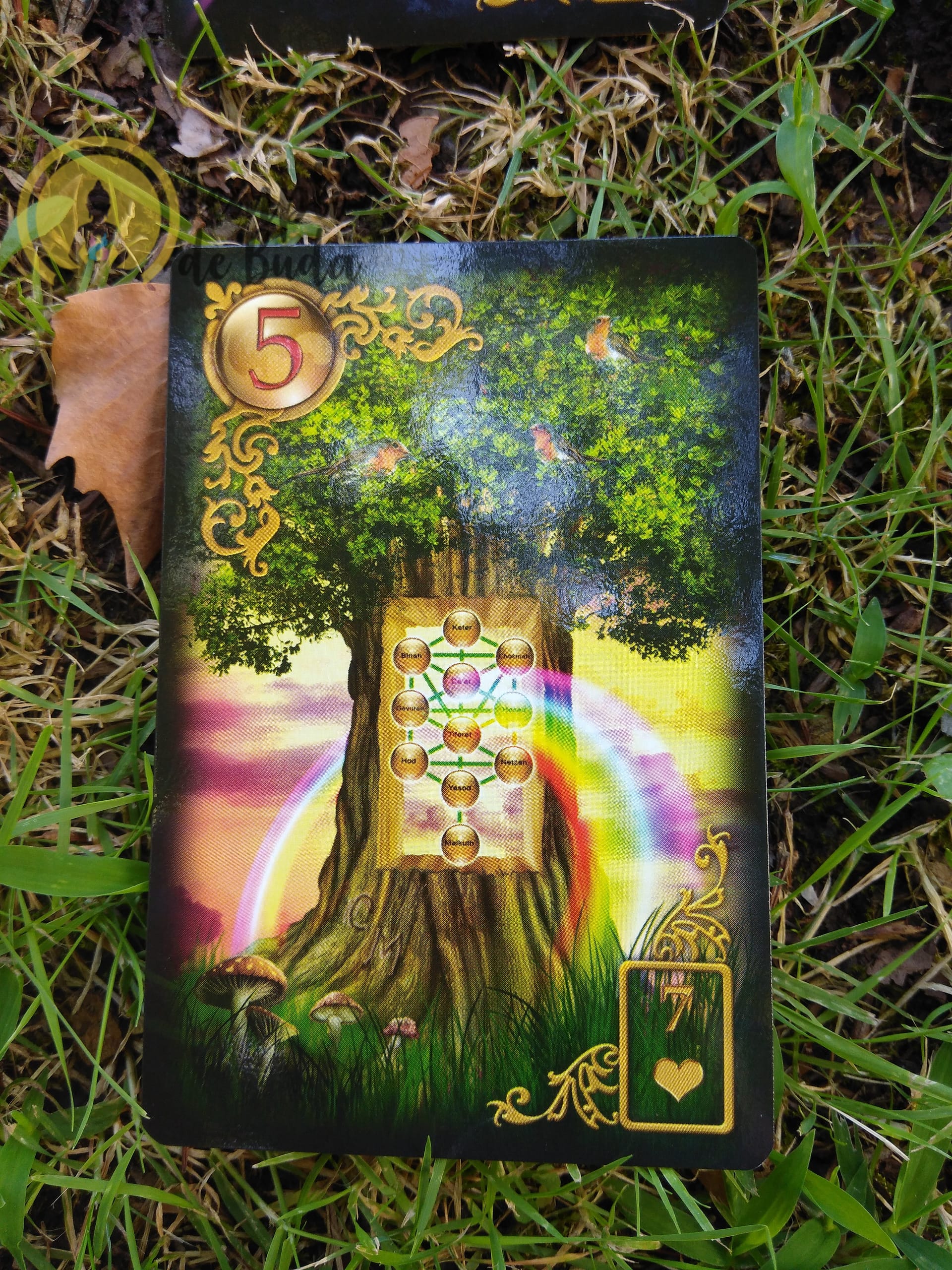 Lenormand Gilded Reverie de Ciro Marchetti