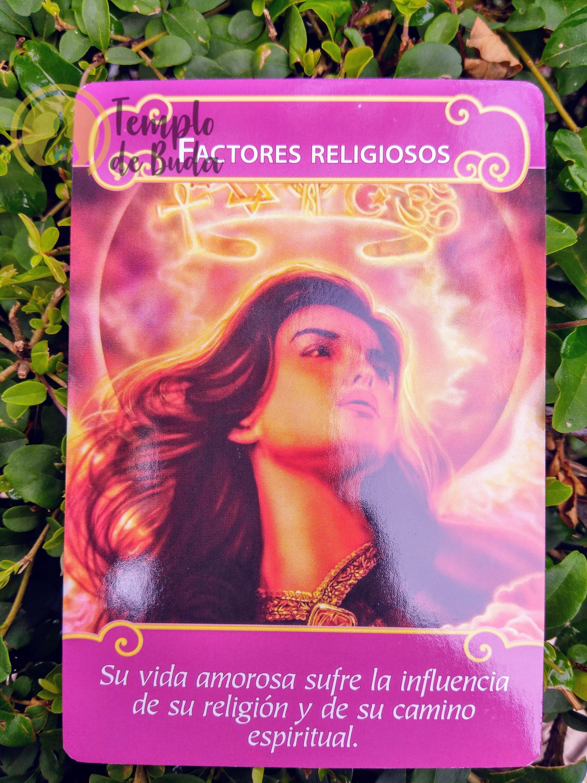 Oráculo Anjos do Romance de Doreen Virtue em Espanhol - Image 5