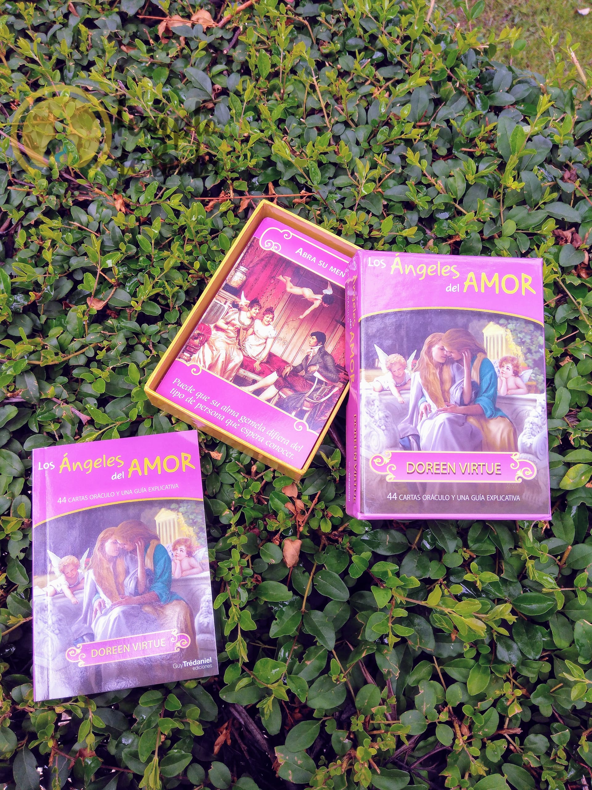 Oráculo Anjos do Romance de Doreen Virtue em Espanhol - Image 10