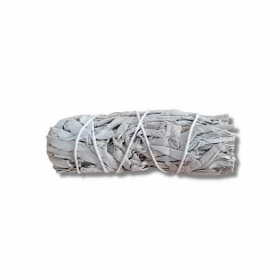 Tocha Salvia Branca California