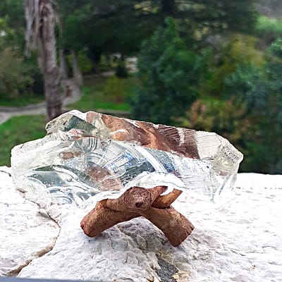 Andara Cristal Monoatómico Visão