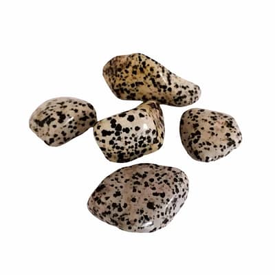 Cristal Jaspe Dalmata