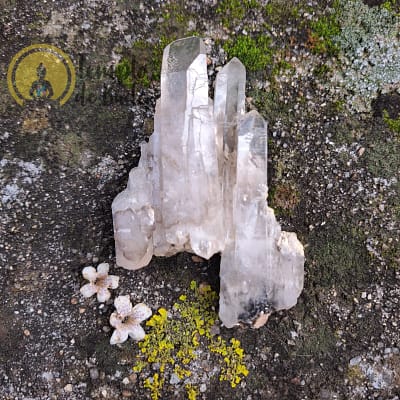 Trio de Pontas de Cristal Lemuriano