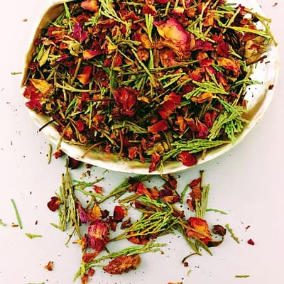 Rosas e Cedro Folhas