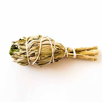 Tocha Tulipa de Sálvia Branca e Erva-Doce (Sweet Grass) 10cm