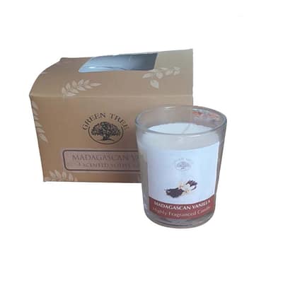 Vela Copo Perfumado Green Tree Madagascar Vanilla Caixa