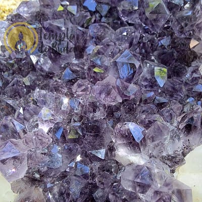 Drusa de Ametista com Cristal de Quartzo Branco 12cm (432 gr)