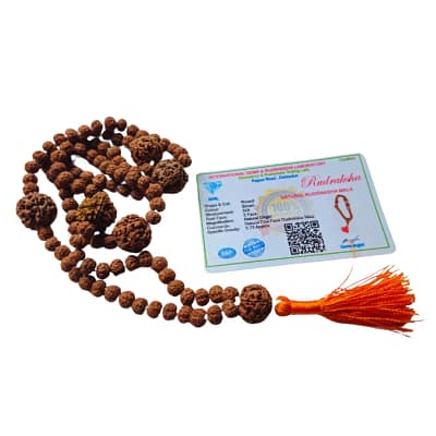 JapaMala de Rudraksha